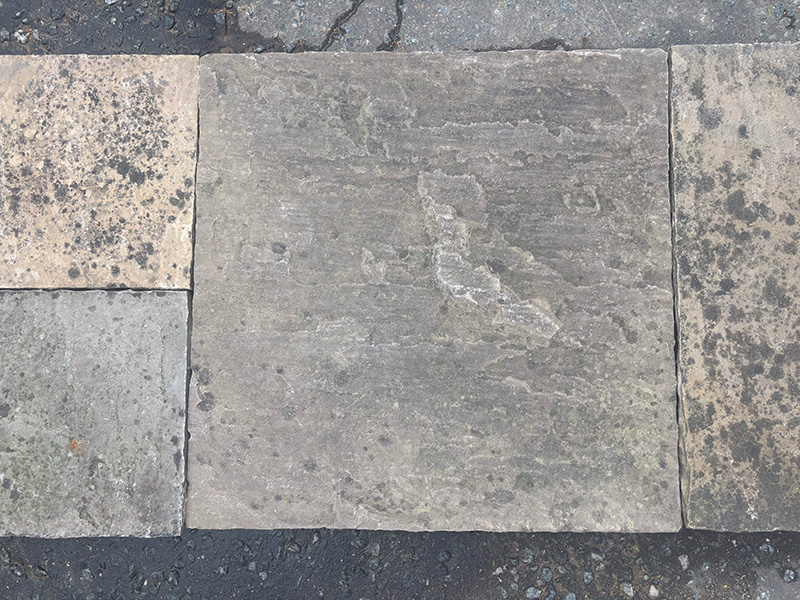 Indian Sandstone view 2