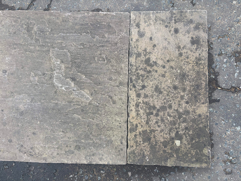 Indian Sandstone view 3