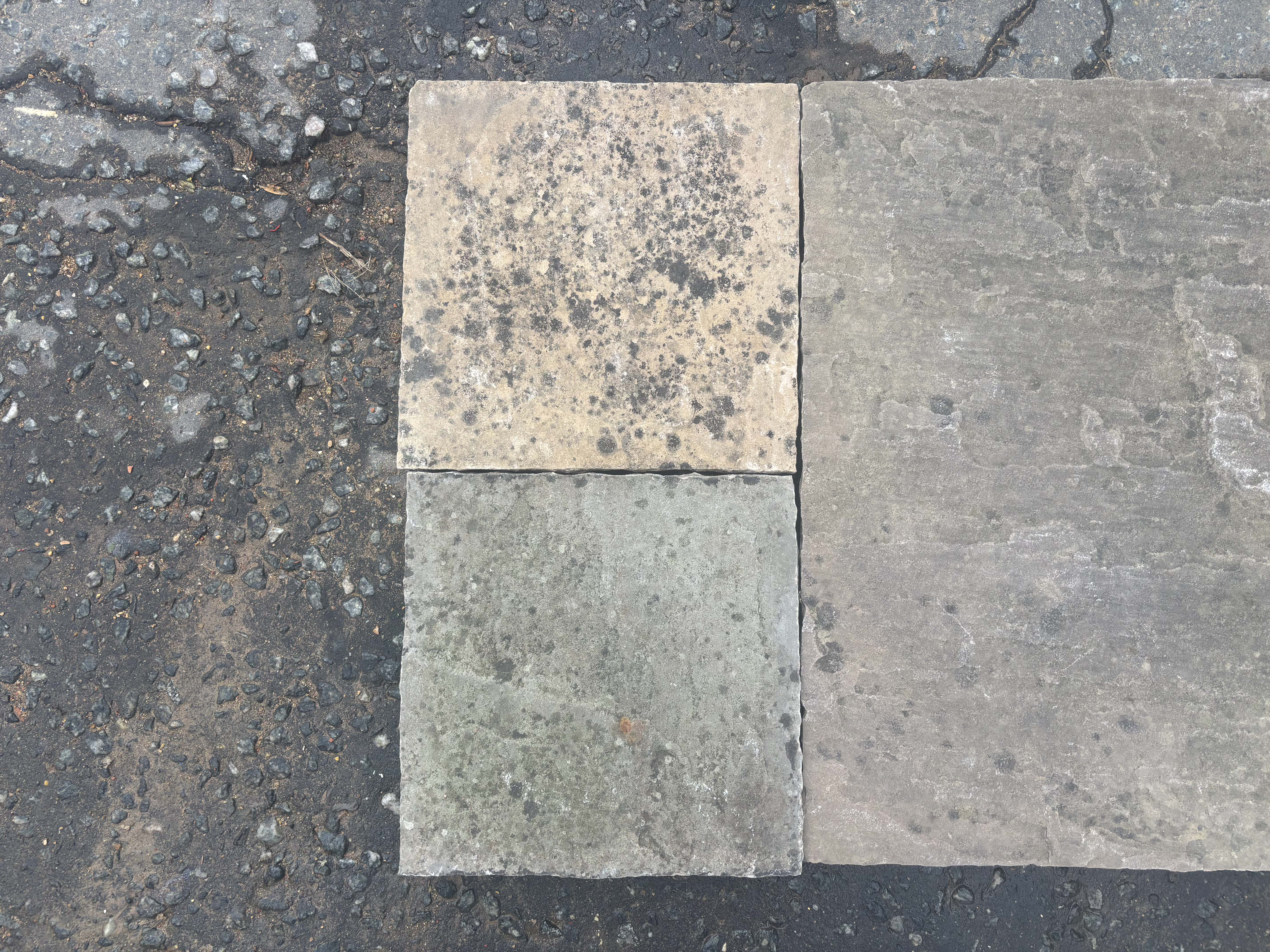 Indian Sandstone view 4